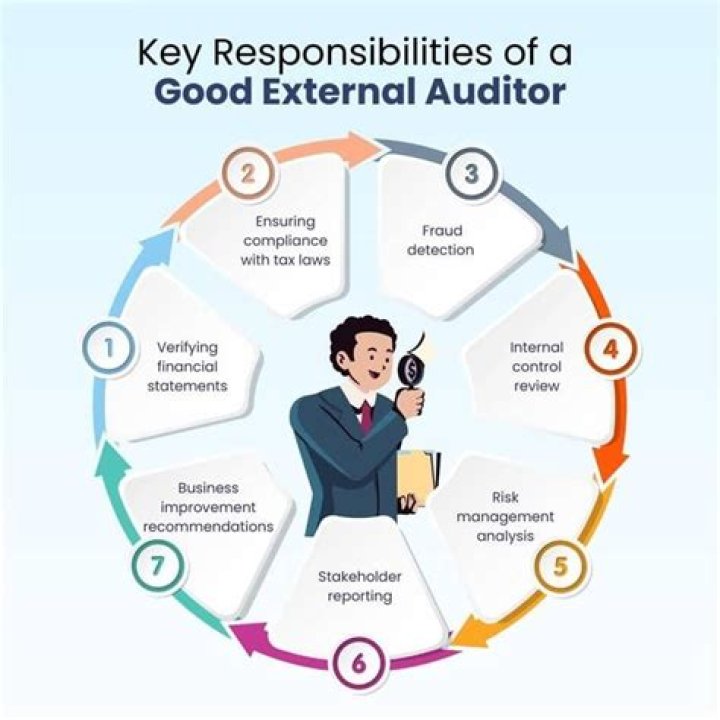 What is the role of the external auditor?