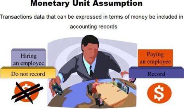 What is the stable monetary unit assumption?