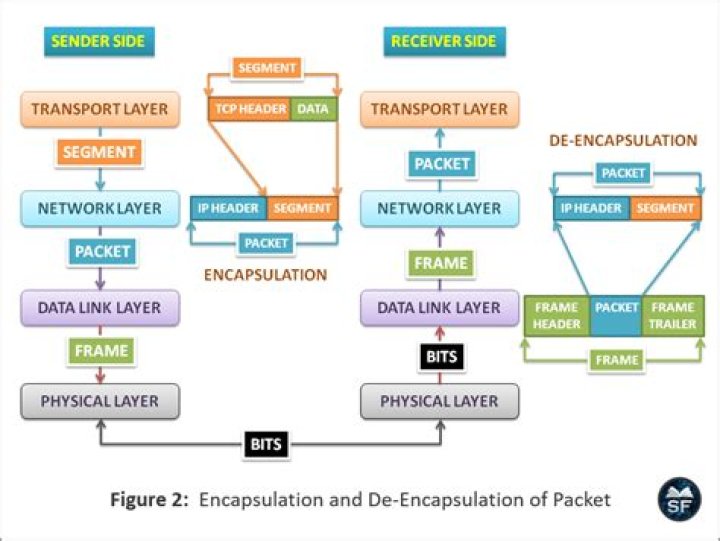 What layer converts data into packets?