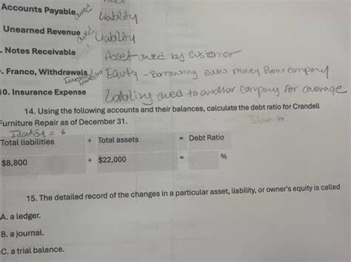 What type of accounts are revenue expense and withdrawals?