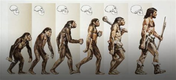 When did humans start doing business?