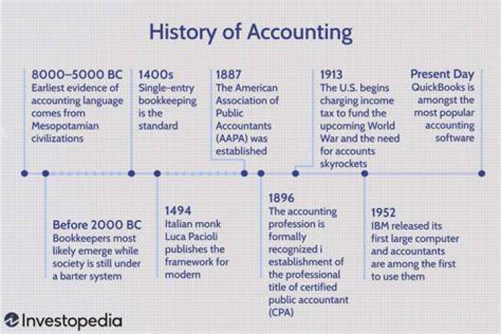 When was the first accounting software created?