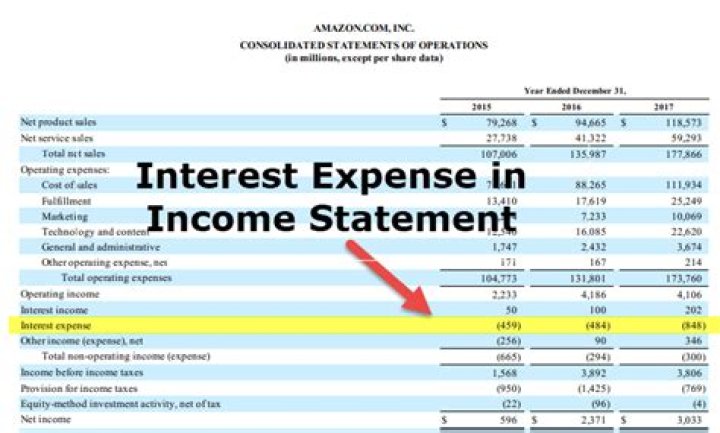 Where does loan interest go on income statement?
