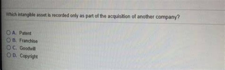 Which intangible asset is recorded only when an acquiring company purchases another company?