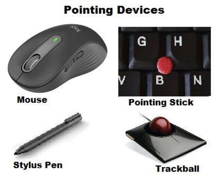 Which is the pointing device of computer?