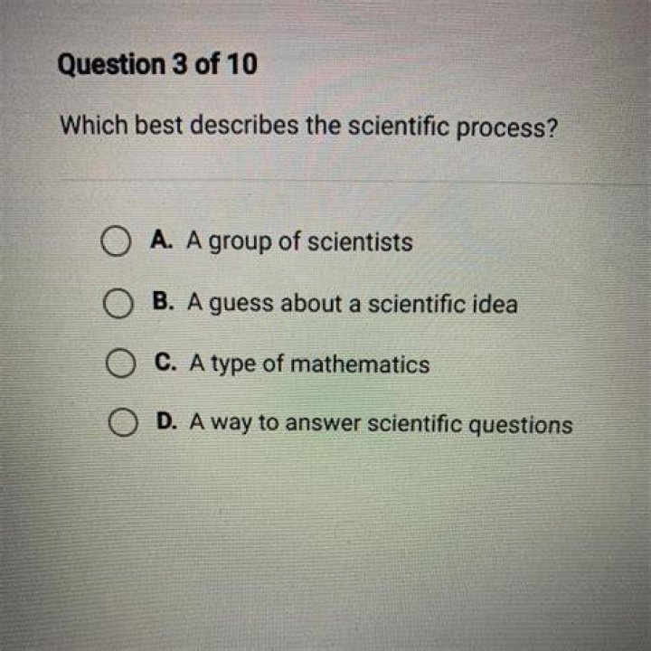 Which of the following best describes the purpose of market research Brainly?